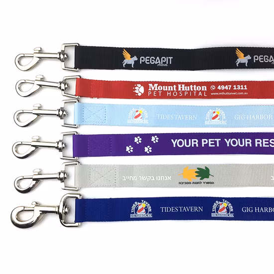 Плоский полиэстеровый поводок для скалолазания с принтом на заказ