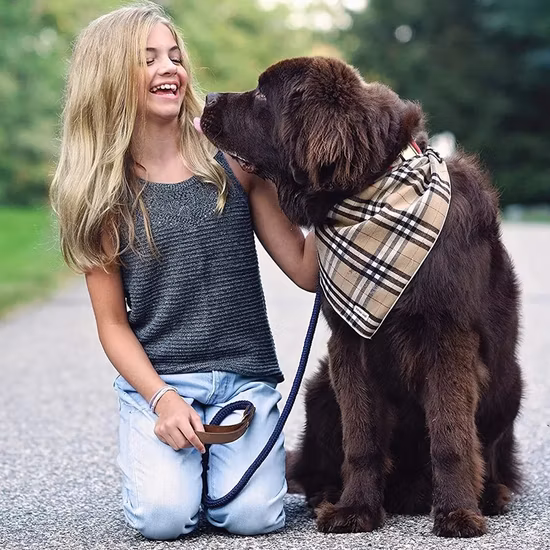 Сверхмощный поводок для собак с мягкой кожаной ручкой, толстый поводок для больших, средних и маленьких собак