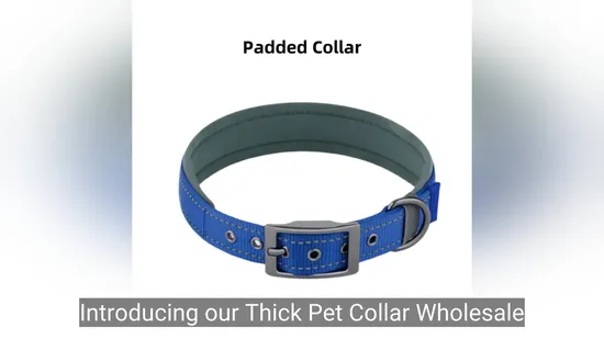 Нейлоновые товары для маленьких собак Товары для домашних животных Ошейник для домашних животных